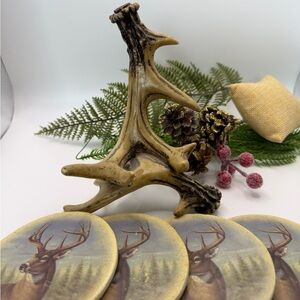 Deer Antler Coaster Set of 4